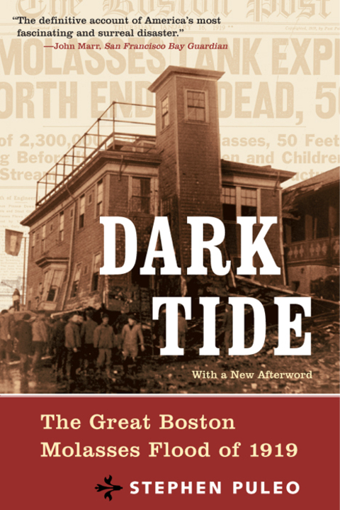 Cover image for book Dark Tide