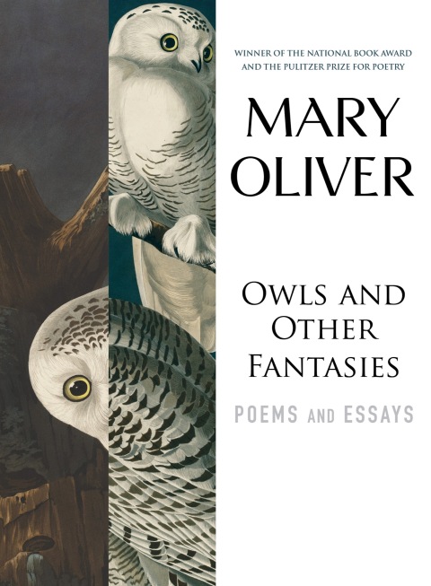 Cover image for book Owls and Other Fantasies