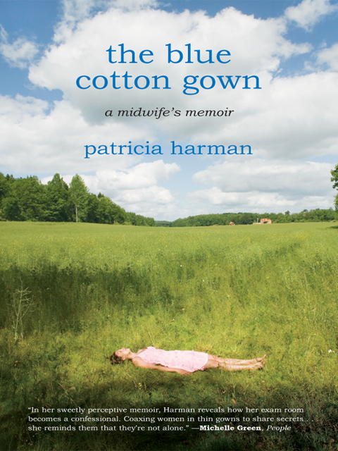 Cover image for book The Blue Cotton Gown