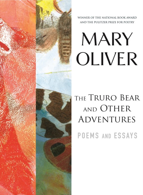 Cover image for book The Truro Bear and Other Adventures