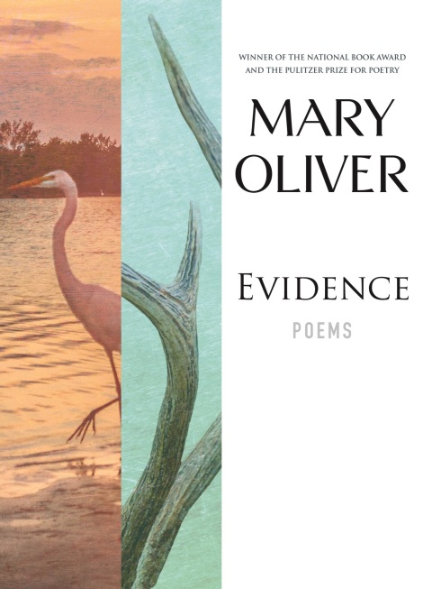 Cover image for book Evidence