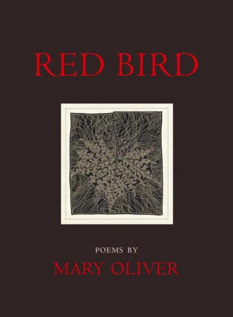 Cover image for book Red Bird