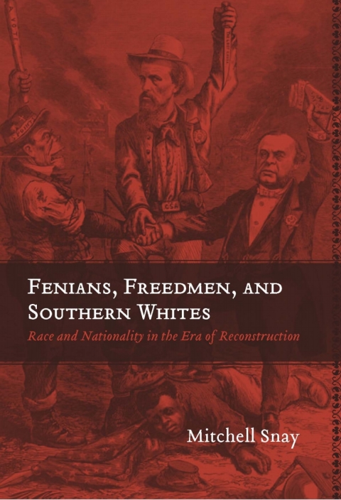 Cover image for book Fenians, Freedmen, and Southern Whites