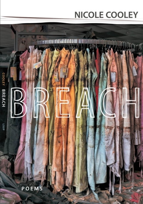 Cover image for book Breach