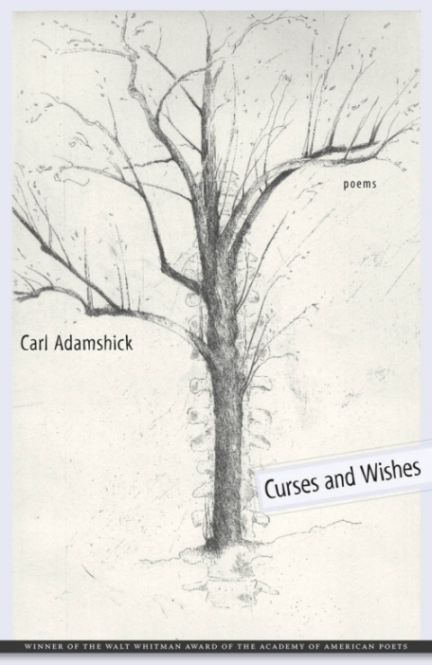 Cover image for book Curses and Wishes