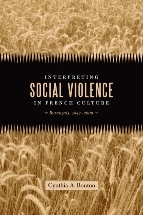 Cover image for book Interpreting Social Violence in French Culture