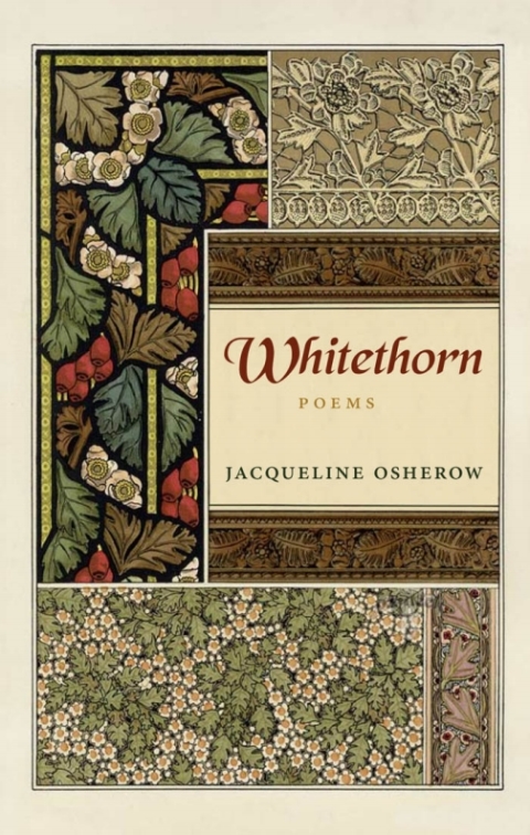 Cover image for book Whitethorn