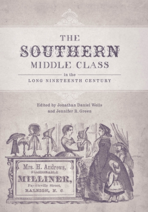 Cover image for book The Southern Middle Class in the Long Nineteenth Century