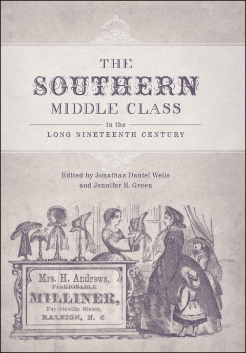 Cover image for book The Southern Middle Class in the Long Nineteenth Century