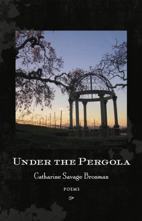 Cover image for book Under the Pergola