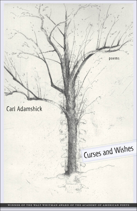 Cover image for book Curses and Wishes