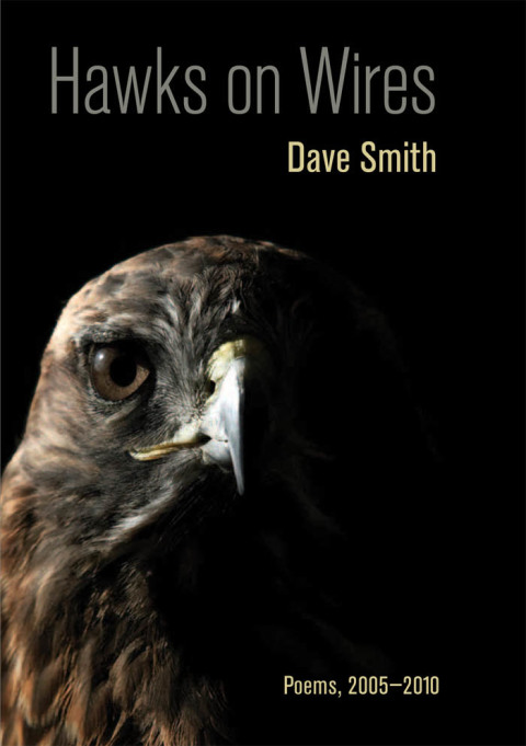 Cover image for book Hawks on Wires
