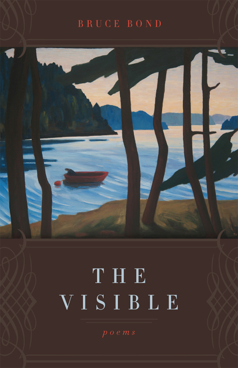 Cover image for book The Visible