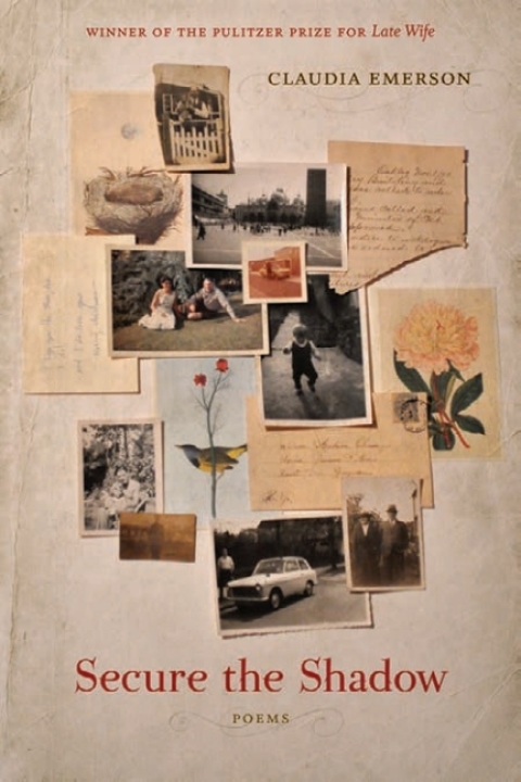 Cover image for book Secure the Shadow