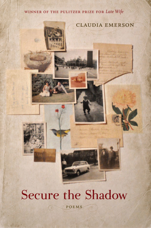 Cover image for book Secure the Shadow