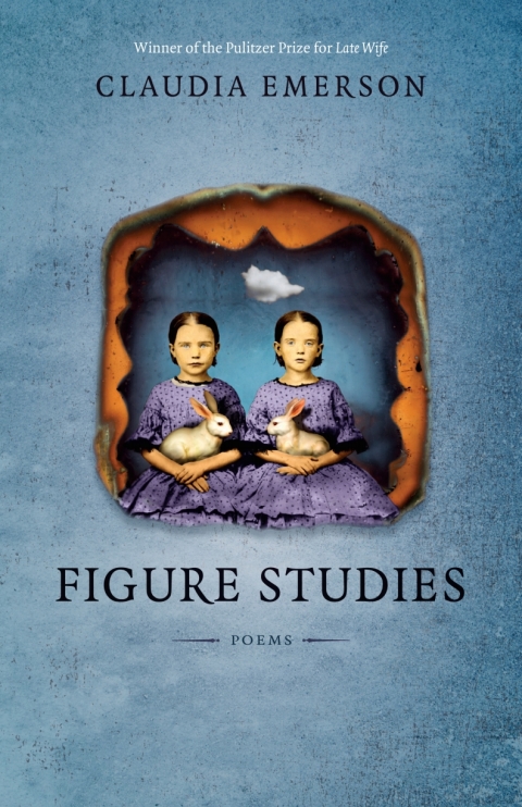 Cover image for book Figure Studies