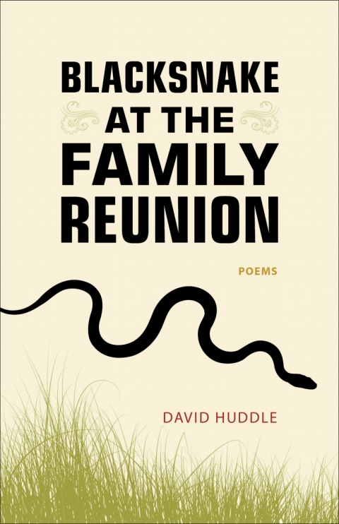 Cover image for book Blacksnake at the Family Reunion