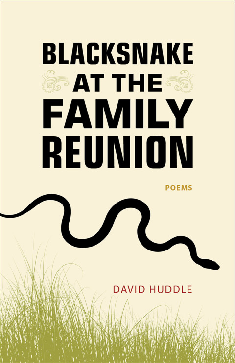 Cover image for book Blacksnake at the Family Reunion