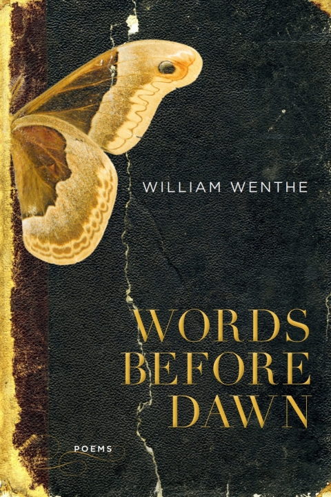 Cover image for book Words Before Dawn