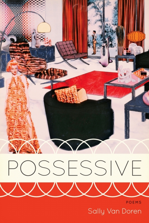 Cover image for book Possessive