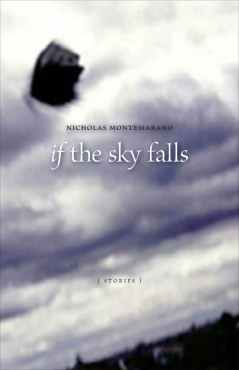 Cover image for book If the Sky Falls