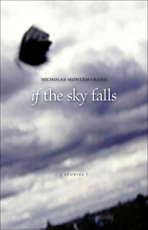 Cover image for book If the Sky Falls