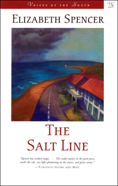 Cover image for book The Salt Line