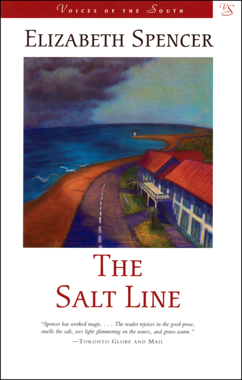 Cover image for book The Salt Line