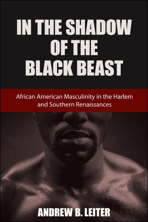 Cover image for book In the Shadow of the Black Beast