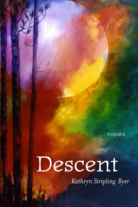 Cover image for book Descent