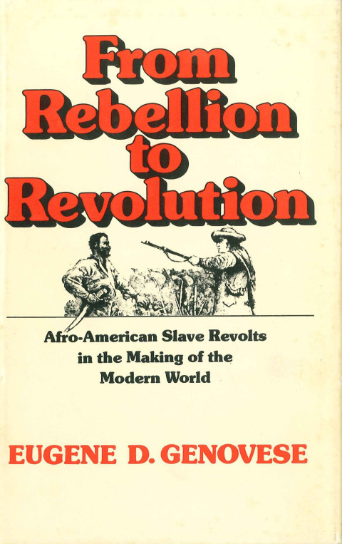Cover image for book From Rebellion to Revolution