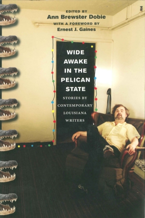 Cover image for book Wide Awake in the Pelican State