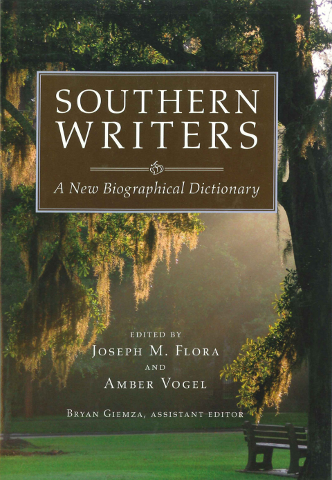 Cover image for book Southern Writers