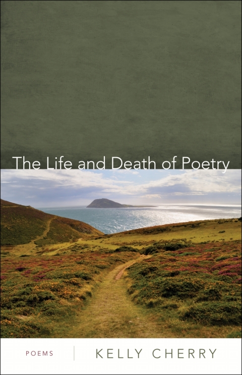 Cover image for book The Life and Death of Poetry