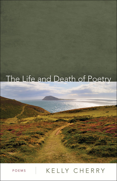 Cover image for book The Life and Death of Poetry