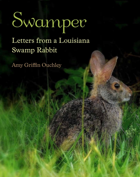 Cover image for book Swamper