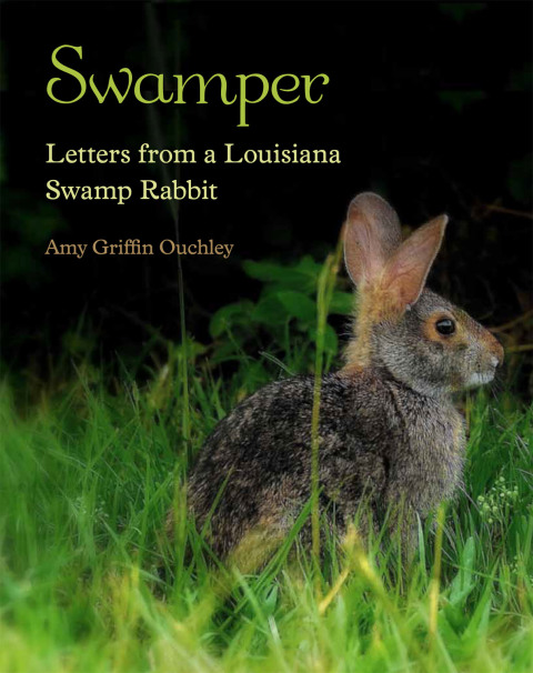 Cover image for book Swamper