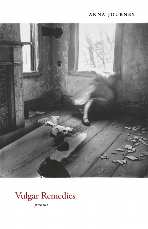 Cover image for book Vulgar Remedies