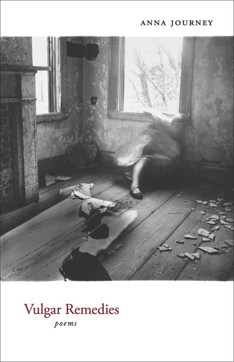 Cover image for book Vulgar Remedies
