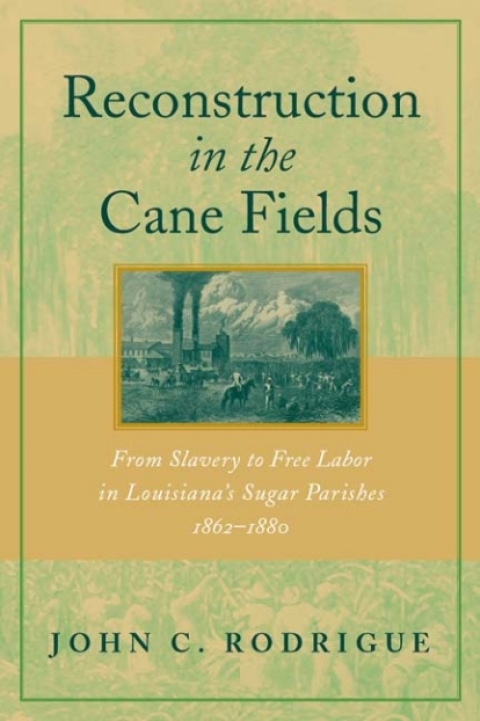 Cover image for book Reconstruction in the Cane Fields