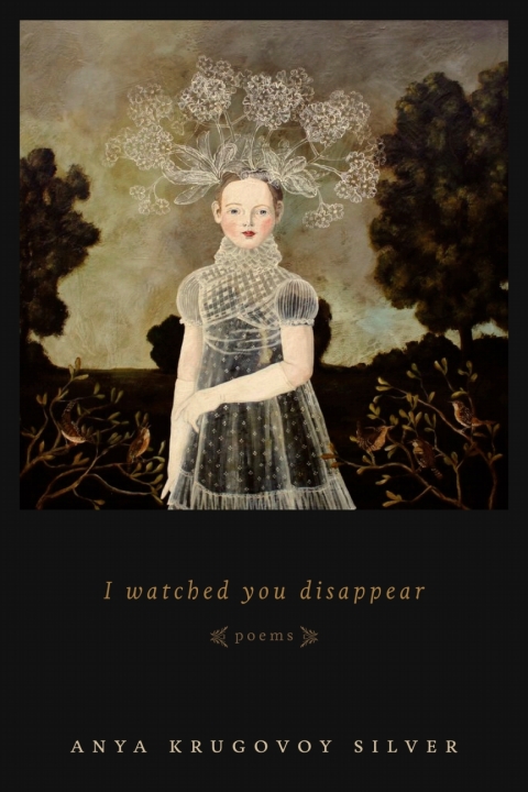 Cover image for book I Watched You Disappear