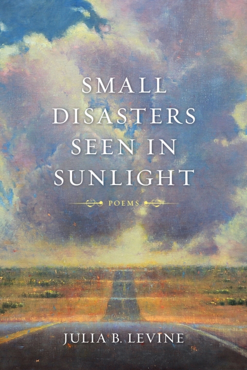 Cover image for book Small Disasters Seen in Sunlight