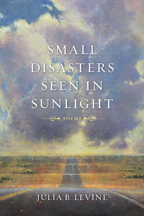 Cover image for book Small Disasters Seen in Sunlight