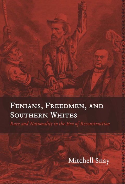 Cover image for book Fenians, Freedmen, and Southern Whites