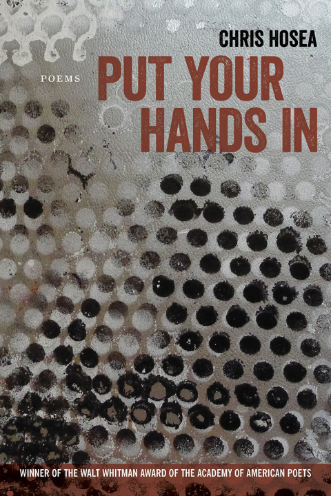 Cover image for book Put Your Hands In