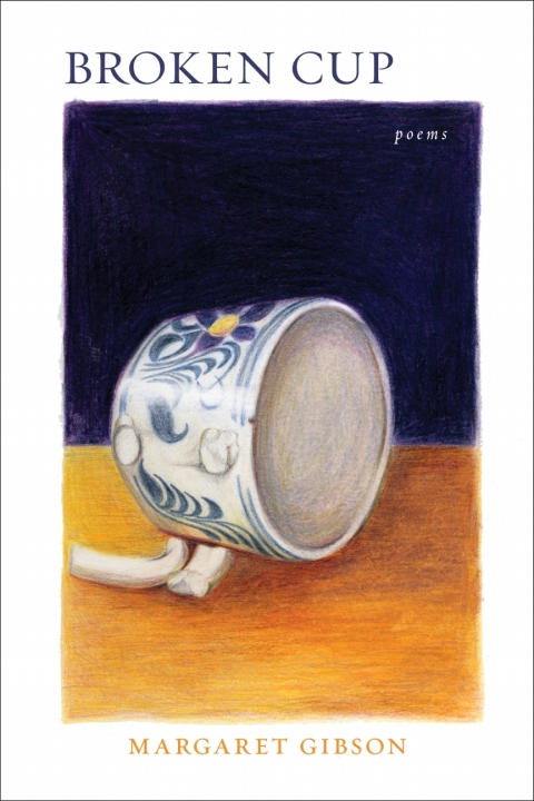 Cover image for book Broken Cup