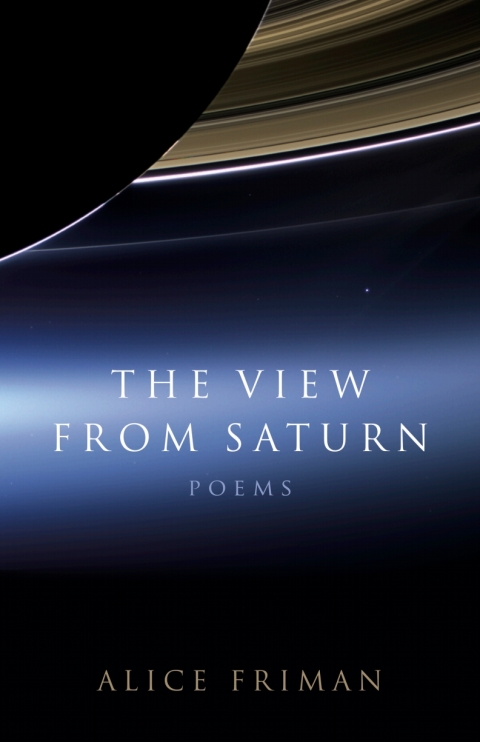 Cover image for book The View from Saturn