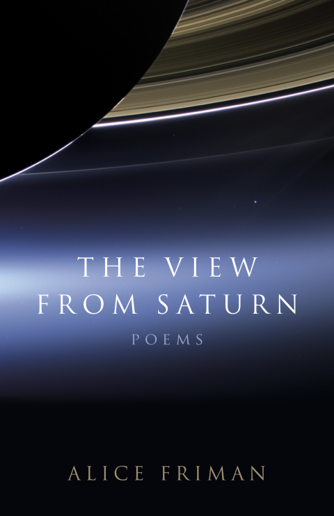 Cover image for book The View from Saturn