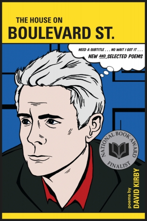 Cover image for book The House on Boulevard St.