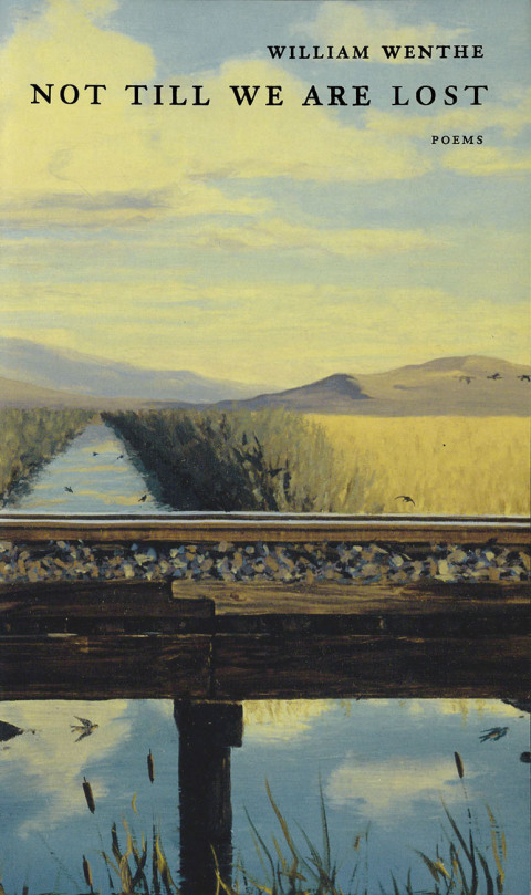 Cover image for book Not Till We Are Lost